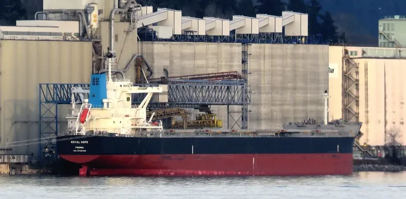 ROYAL HOPE Bulk Carrier IMO 9726762