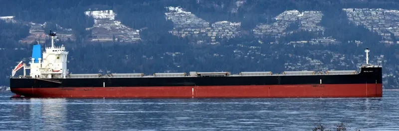 ROYAL HOPE Bulk Carrier IMO 9726762 photo 2