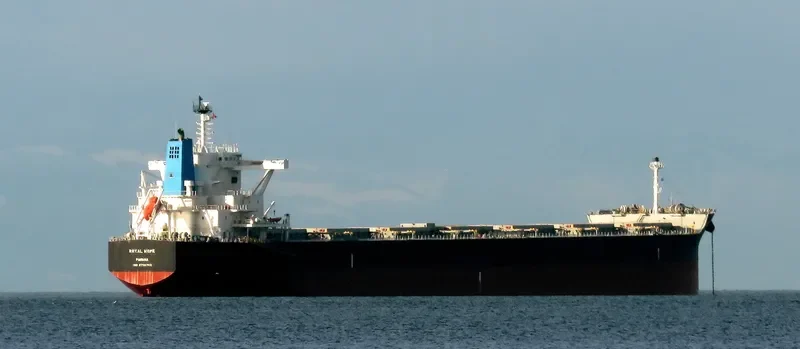 ROYAL HOPE Bulk Carrier IMO 9726762 photo 3