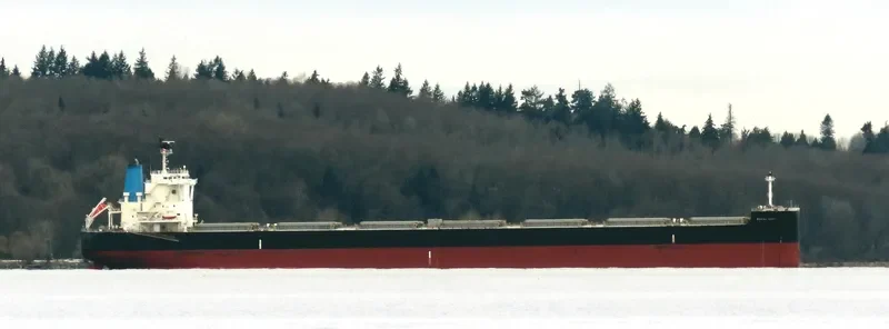ROYAL HOPE Bulk Carrier IMO 9726762 photo 4