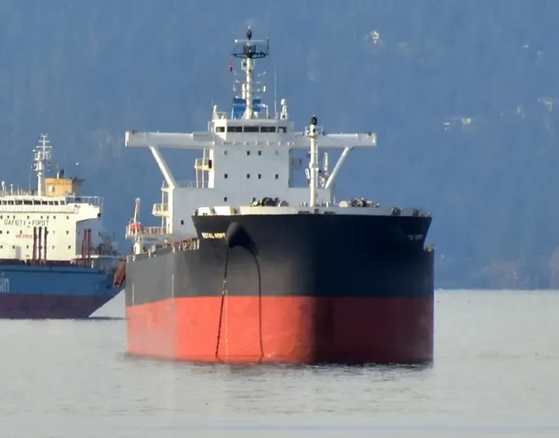 ROYAL HOPE Bulk Carrier IMO 9726762 photo 5