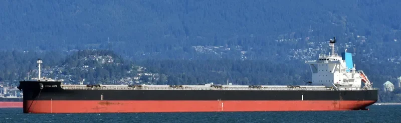 ROYAL HOPE Bulk Carrier IMO 9726762 photo 6