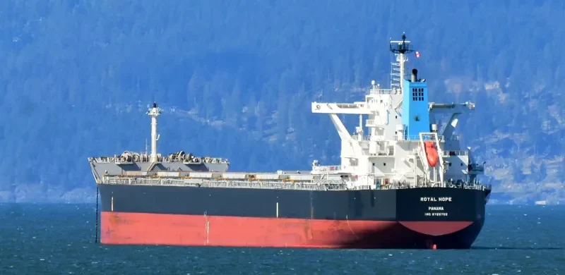 ROYAL HOPE Bulk Carrier IMO 9726762 photo 7