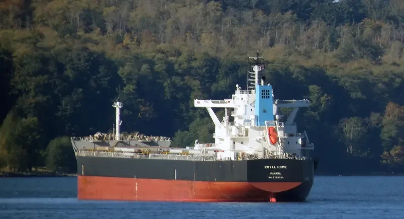 ROYAL HOPE Bulk Carrier IMO 9726762 photo 8