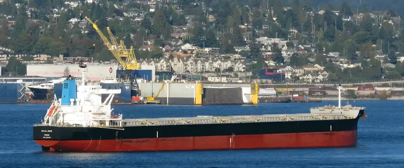 ROYAL HOPE Bulk Carrier IMO 9726762 photo 9