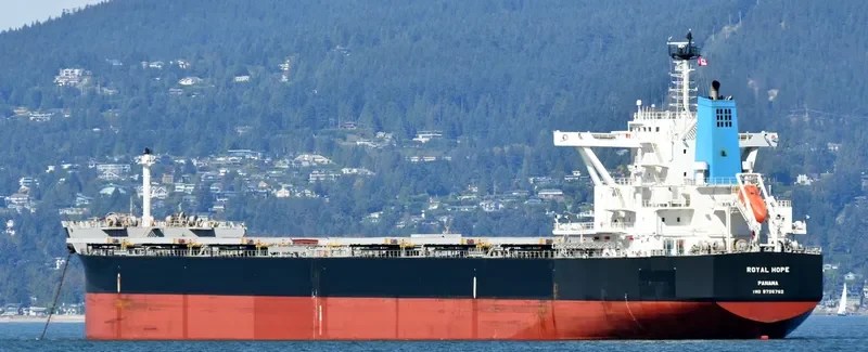 ROYAL HOPE Bulk Carrier IMO 9726762 photo 10