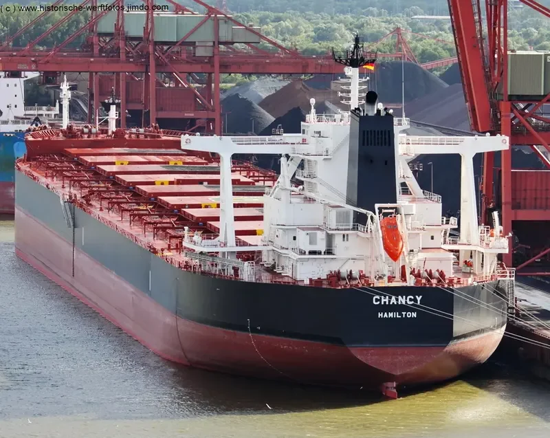 TRUE CHARIOT Bulk Carrier IMO 9726774