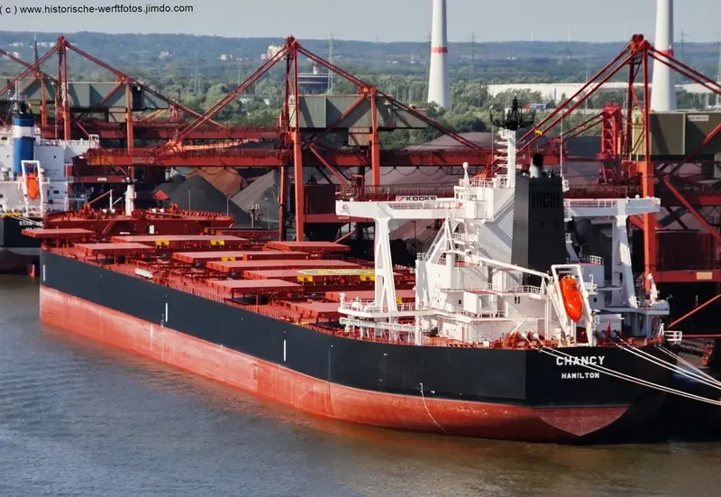 TRUE CHARIOT Bulk Carrier IMO 9726774 photo 2