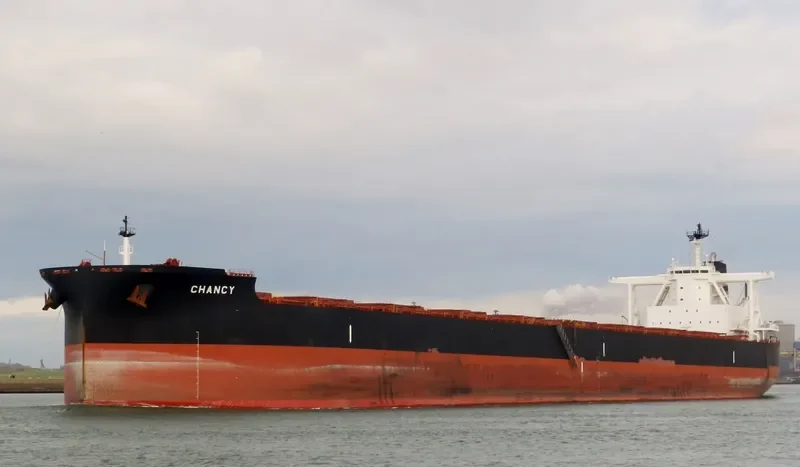TRUE CHARIOT Bulk Carrier IMO 9726774 photo 5