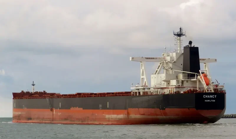 TRUE CHARIOT Bulk Carrier IMO 9726774 photo 6