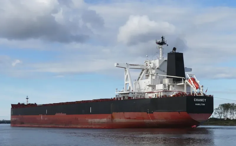 TRUE CHARIOT Bulk Carrier IMO 9726774 photo 7