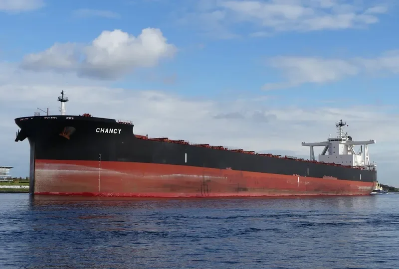 TRUE CHARIOT Bulk Carrier IMO 9726774 photo 8