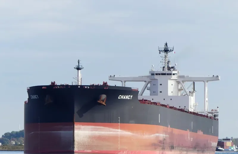 TRUE CHARIOT Bulk Carrier IMO 9726774 photo 9