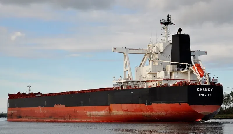 TRUE CHARIOT Bulk Carrier IMO 9726774 photo 10