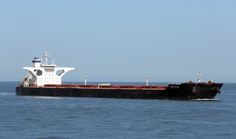 STELLAR ACE Bulk Carrier IMO 9726798 photo 2