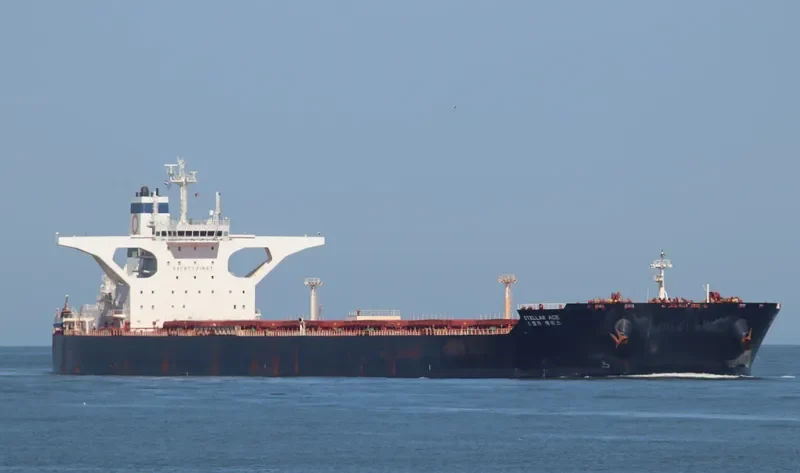 STELLAR ACE Bulk Carrier IMO 9726798 photo 3