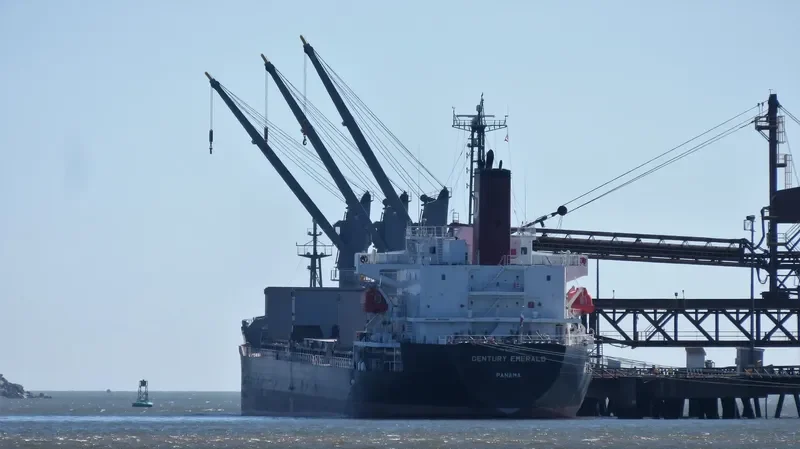 CENTURY EMERALD Bulk Carrier IMO 9726841