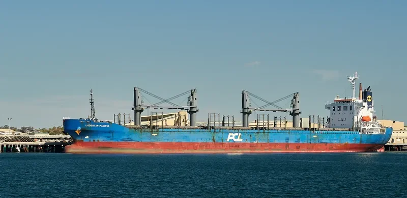 LODESTAR PACIFIC Bulk Carrier IMO 9726853