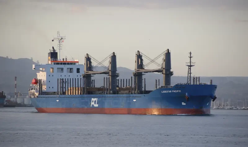 LODESTAR PACIFIC Bulk Carrier IMO 9726853 photo 2