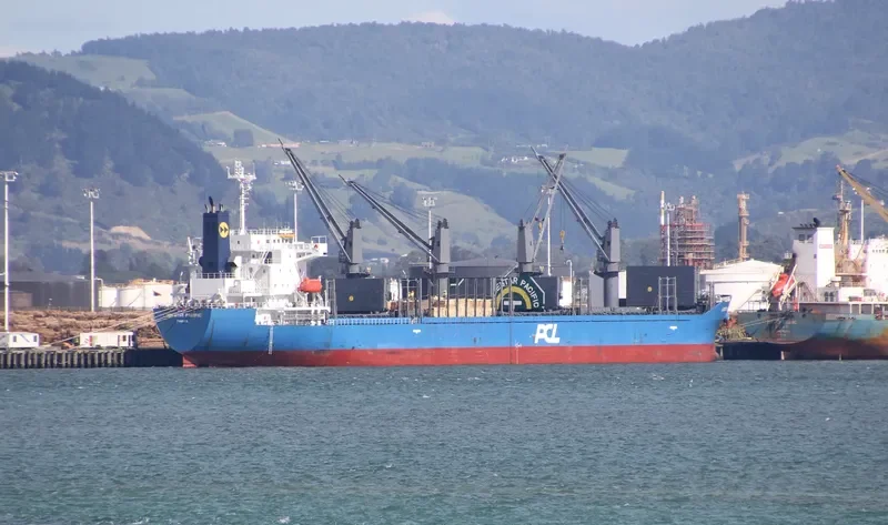 LODESTAR PACIFIC Bulk Carrier IMO 9726853 photo 3