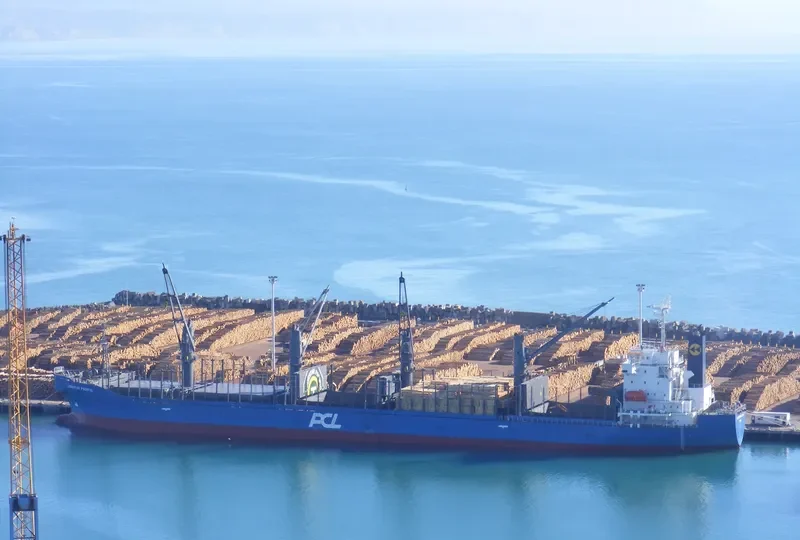 LODESTAR PACIFIC Bulk Carrier IMO 9726853 photo 4