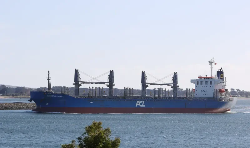 LODESTAR PACIFIC Bulk Carrier IMO 9726853 photo 6