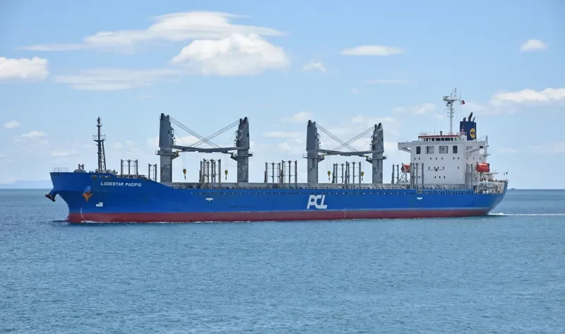 LODESTAR PACIFIC Bulk Carrier IMO 9726853 photo 7