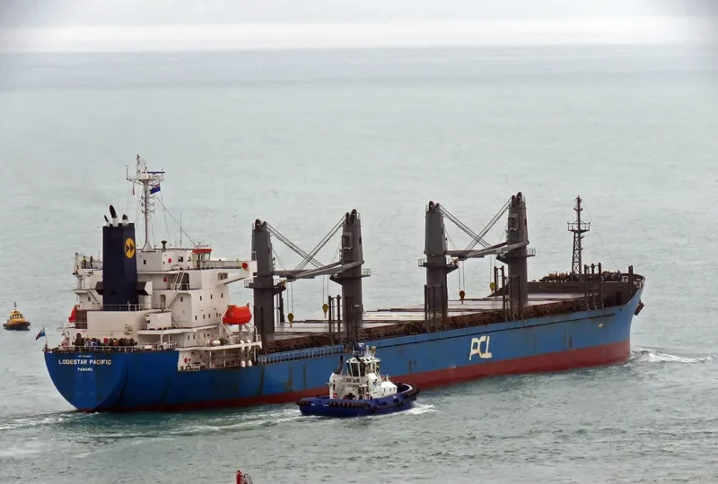 LODESTAR PACIFIC Bulk Carrier IMO 9726853 photo 8
