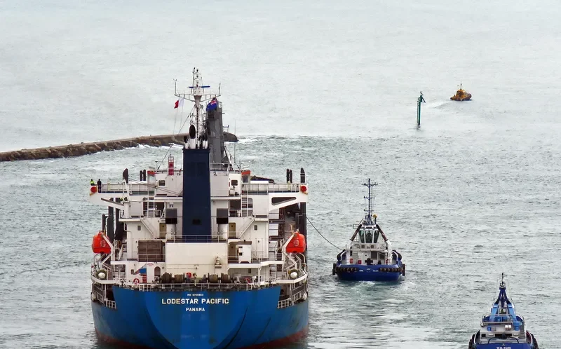LODESTAR PACIFIC Bulk Carrier IMO 9726853 photo 9