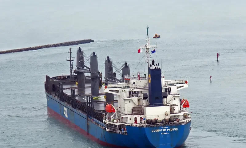 LODESTAR PACIFIC Bulk Carrier IMO 9726853 photo 10