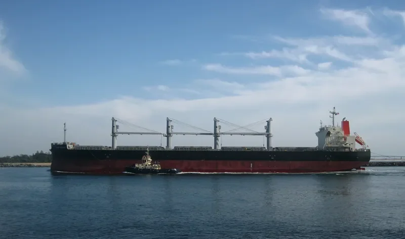 DYNA CRANE Bulk Carrier IMO 9727053 photo 5