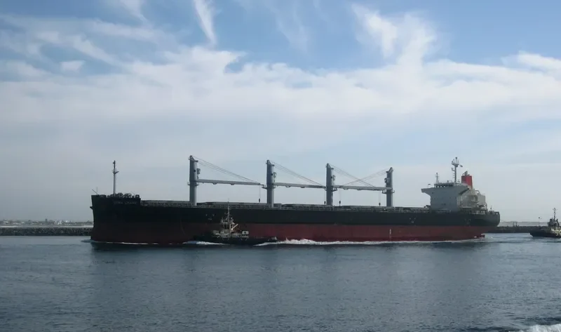 DYNA CRANE Bulk Carrier IMO 9727053 photo 6