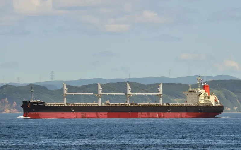 DYNA CRANE Bulk Carrier IMO 9727053 photo 10