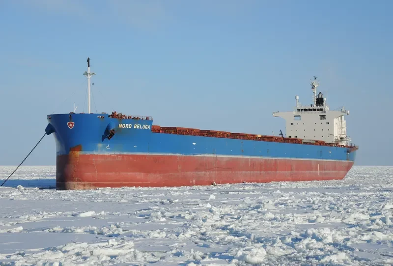 NORD BELUGA Bulk Carrier IMO 9727065 photo 2