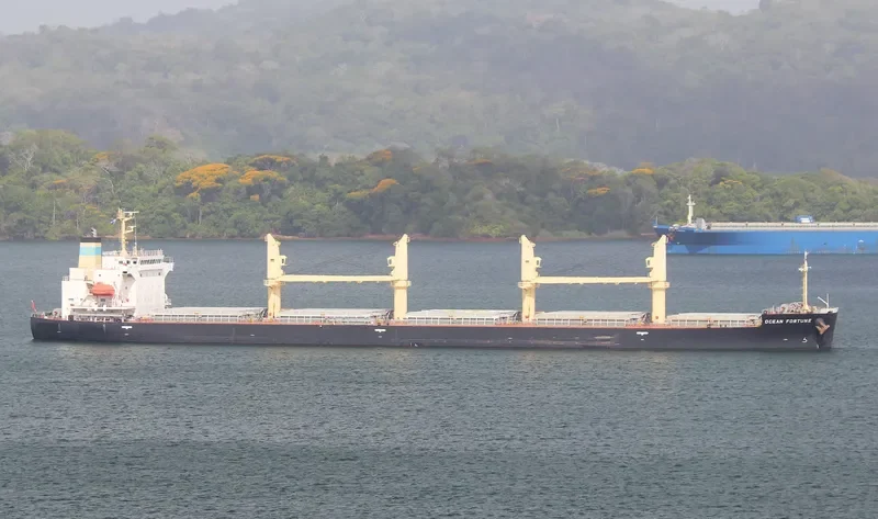 OCEAN FORTUNE Bulk Carrier IMO 9727077