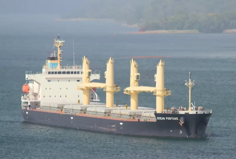 OCEAN FORTUNE Bulk Carrier IMO 9727077 photo 2