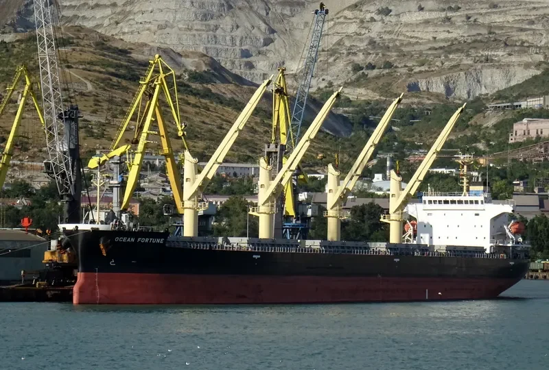 OCEAN FORTUNE Bulk Carrier IMO 9727077 photo 4