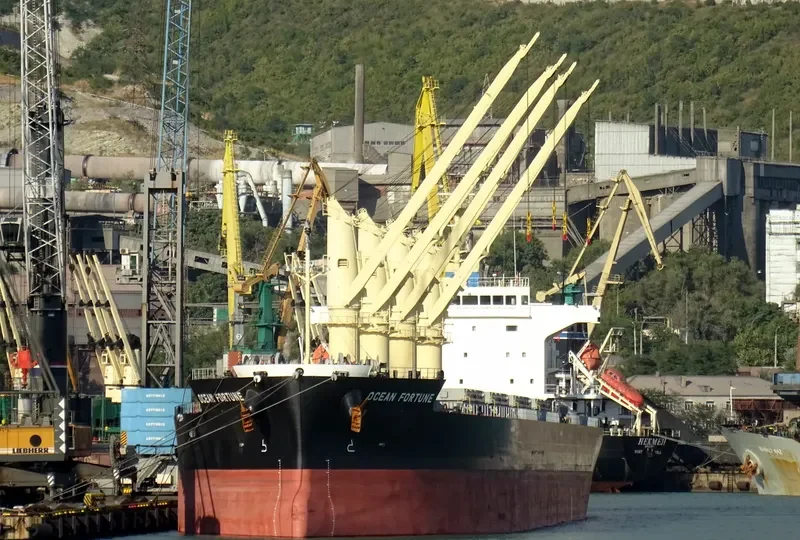 OCEAN FORTUNE Bulk Carrier IMO 9727077 photo 5