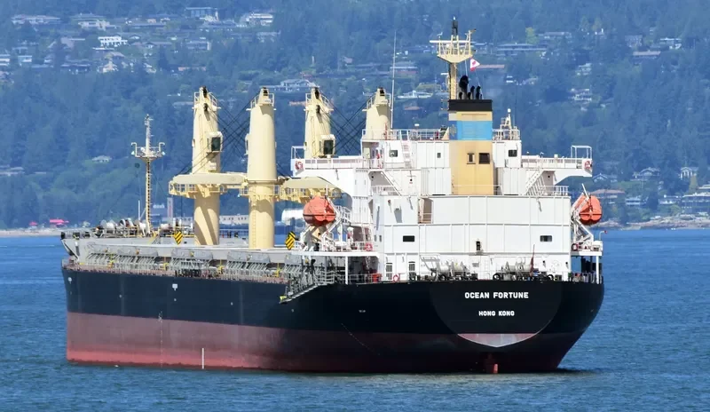 OCEAN FORTUNE Bulk Carrier IMO 9727077 photo 7