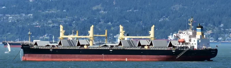 OCEAN FORTUNE Bulk Carrier IMO 9727077 photo 8