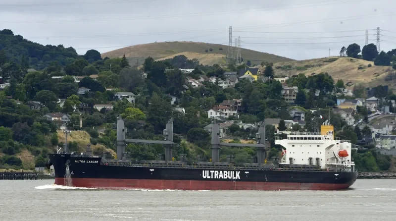 ULTRA LASCAR Bulk Carrier IMO 9727089 photo 2