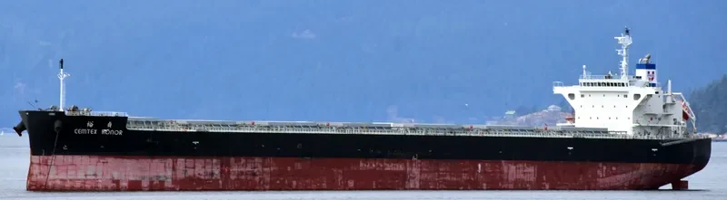 CEMTEX HONOR Bulk Carrier IMO 9727091