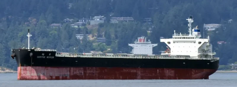 CEMTEX HONOR Bulk Carrier IMO 9727091 photo 2
