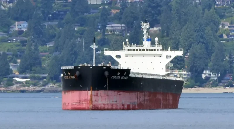 CEMTEX HONOR Bulk Carrier IMO 9727091 photo 3