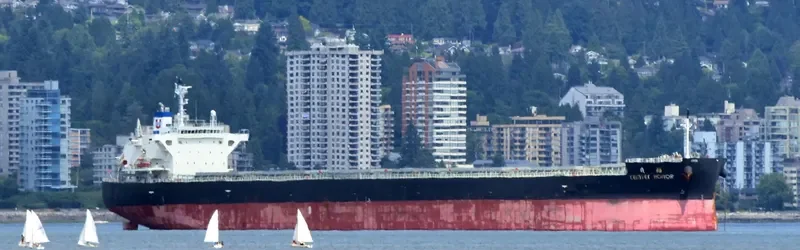 CEMTEX HONOR Bulk Carrier IMO 9727091 photo 4