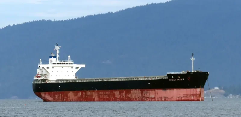 CEMTEX HONOR Bulk Carrier IMO 9727091 photo 5