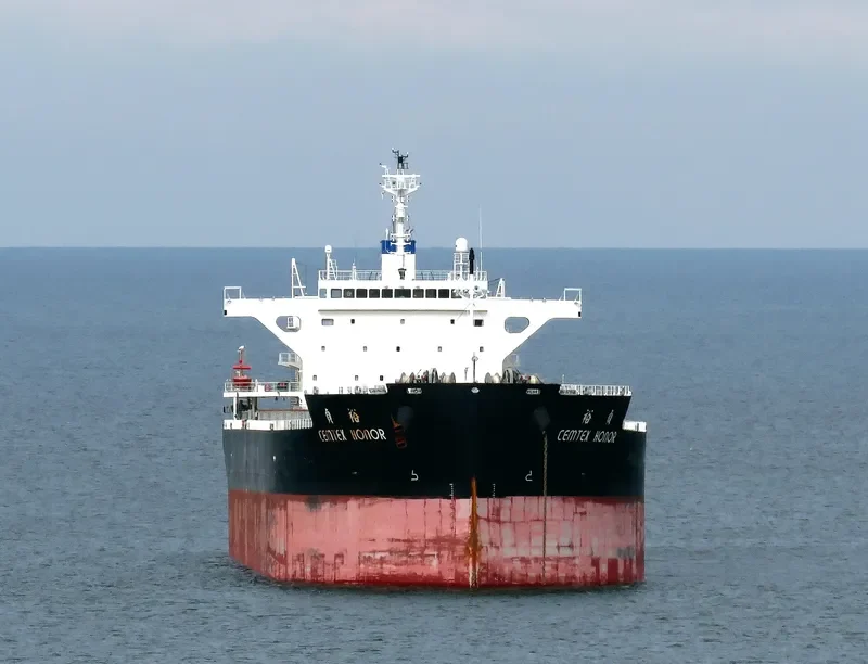 CEMTEX HONOR Bulk Carrier IMO 9727091 photo 6