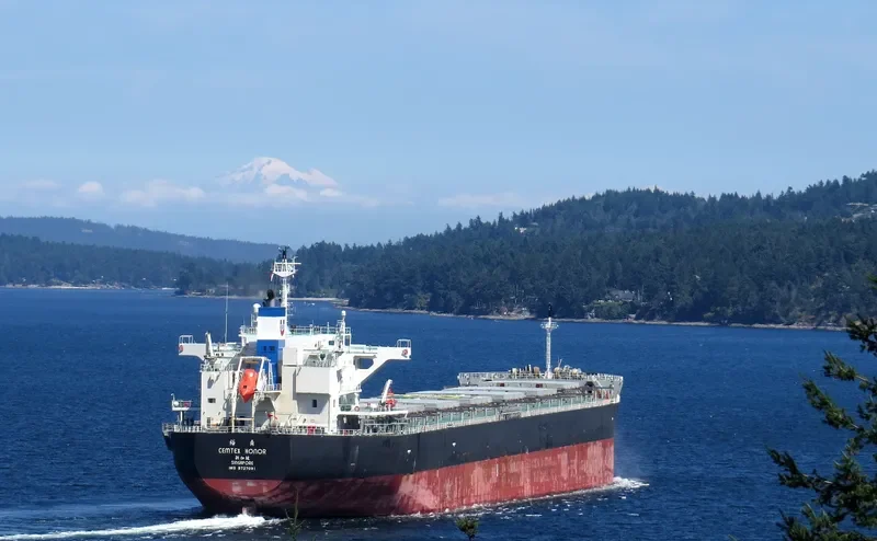 CEMTEX HONOR Bulk Carrier IMO 9727091 photo 7