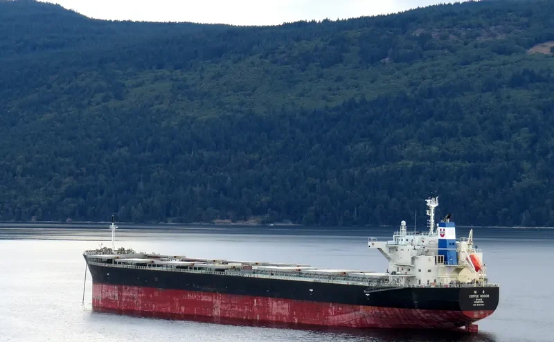 CEMTEX HONOR Bulk Carrier IMO 9727091 photo 9