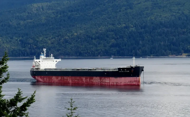CEMTEX HONOR Bulk Carrier IMO 9727091 photo 10